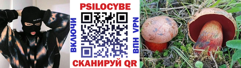 Псилоцибиновые грибы ЛСД Дубовка